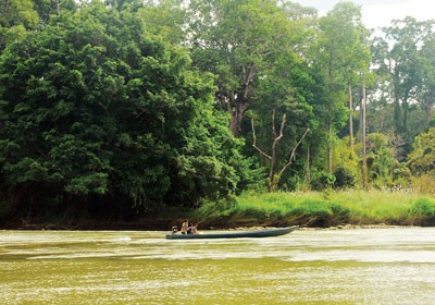 A corner of Yok Don National Park (Photo: SGGP) A corner of Yok Don National Park (Photo: SGGP)